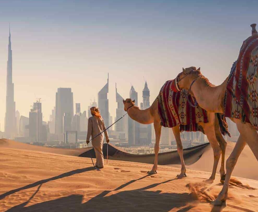 Dazzling Dubai